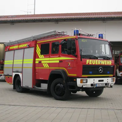 lf26.jpg