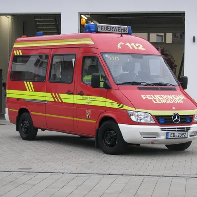 mzv14.jpg